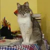 Отзыв от Жанна Шарова